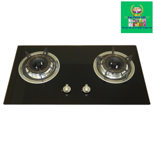 Bếp gas âm Eurosun EU-GA207